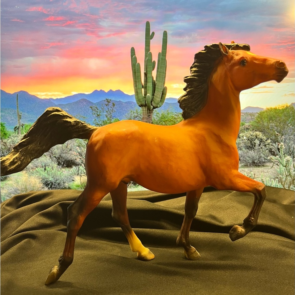 Breyer SHY BOY-REDUCED!